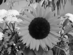 GrayScale