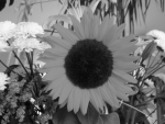 GrayScale